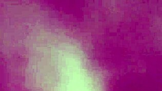 Calvinncarriklein deepthroater til fitte sprut og rævknull