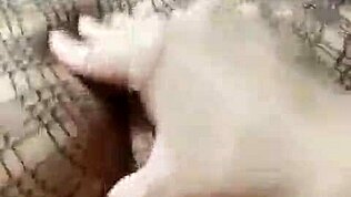 Legit Pinay Model Rides Hard in Scandal