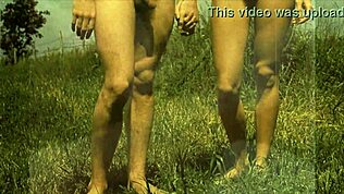 Dark Lantern Entertainment разкрива ретро природни мацки в открити сцени