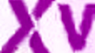 Daniela Ortizs hede DAP-debut