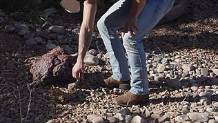 Какво ширење, а? Брајан, можеш ли да издржиш Џејден Маркосов монструозни курац дубоко унутра?