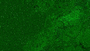 Quer ver golden shower de jeans?