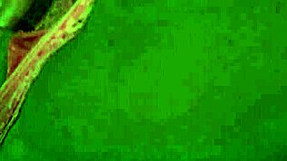 Mommys Girl Christie Stevens prosperosa becca Adriana Chechik e India Summer a scopare e le fanno threesome lesbo