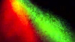 Milf giver interracial blowjob i denne video 😏