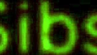 Abwechselnd April Aniston und Vienna Rose blasen in wildem Dreier