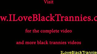 טרנס שחורה חובבנית משחקת תחת עם זין מפלצת