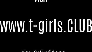 جمالة متحولة ذات شعر أسود تمتص فتاة متحولة في جلسة حارة