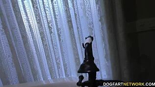 Nina Elle in wildem Gangbang mit schwarzen Hengsten überall!