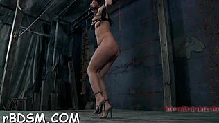 Zaprl sem punce, da se zadovoljujejo med seboj