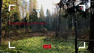 Elveszve Csodaországban egy aranyos kék szemű csajjal mélyen szop kint. A francba, az a torkomunka!