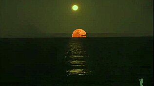 Viviane Araujo en ultra HD exhibe son cul de brune africaine