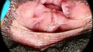 Γλυκό τριχωτό μουνί κοντινά σε εκπληκτικό HD δράση