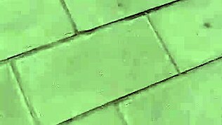 Mei Na odvážný venkovní šukání s cizím chlapem.