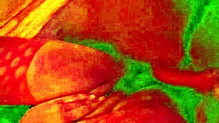 엔젤지랑 쿠즈, 할로윈 특집에 몬스터 자지랑 인터레이셜 액션