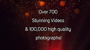 Виж брюнетката Ariana Fox чука себе си с дилдо на токчета