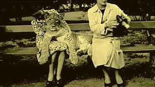 Kakšne skrivnosti skriva ta vintage eroška risanka iz preteklosti?