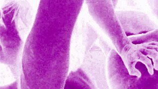 Vintage eroottinen taide