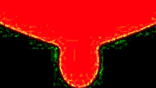 Alexa Cruz ambil batang putih dalam punggung memek