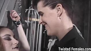 נראה לכלבה הזו מי הבוס עם בעיטות כדור והשפלה