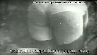 Dark Lantern præsenterer antik håret bæver-fisse i retro-klassiker!