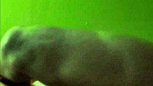 Perverzno tipanje riti in pičke z detajli velike zadnjice