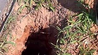 frågade gatuprostituerade hur mycket för en knull, hon sa gratis och ledde mig till skogen för utomhussex.