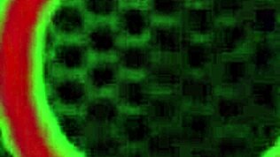 So ficke ich meine leckere Trainerin