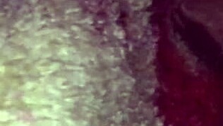 Gledaj kako se ova Latina savija za seks pasjeg stila