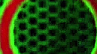 kıvırcık MILF Sara Jay Jason Sweet'in büyük siyah yarrakını biniyor 😍