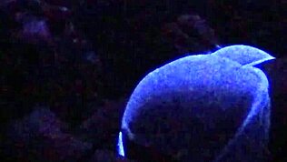 Я интервьюирую сексуальную мокрую модель в гримерке на диване для орального кума в подсобке