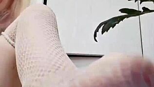 femdom jalkojen rouva Elza Koms dominoi rahallisesti hammasraudat kurvi tippuva pornotähti