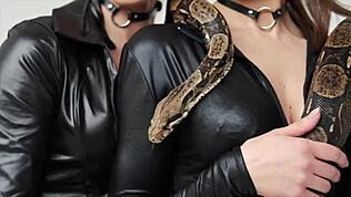 Roksi Foks vodi kroz seksi rukovanje sa krastavcem i fokusom na orgazam