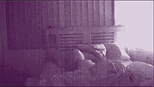 Cuplu amator futând cu săruturi, gemete și orgasm