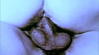 Sötét lámpa hozza a vintage négyszerelemeket erotikus vallomásokból