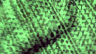 Kotitekoinen kolmikko rakastajieni kanssa sängyssä