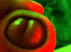 Ifoslave's Intriguing Masturbation Play Leads to Intense Cum Release