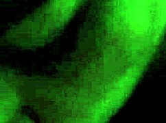 In this tale, my milf flaunts her tits and receives a cumshot.