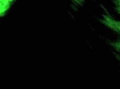 In this tale, my milf flaunts her tits and receives a cumshot.