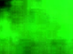 Is This Verification Video Authentic or Just a Clever Fake?