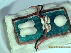 Do you want to see four beauties trapped in a tiny 18+ cage?