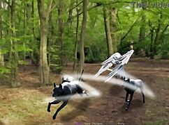 Let's Play! Lilith and Gabriel Fuck Big Tits and Ass!