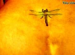 Outdoor sex with a monster in public, contrasting the wild and hidden.