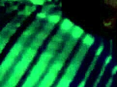 third part of yorgelis kent and erika schwarzenberg video