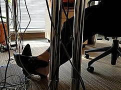 Office shoeplay