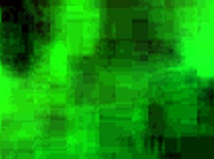 watch this brunette suck dick to cumshot?