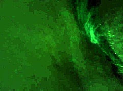 heimlich mit liebhaberin einen schönen nachmittag verbracht