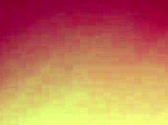 Homemade Video Of Everyday Life