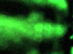 Exploring a retro scene with detailed oral action from a classic blue film