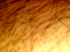 Oh, Fuck That Ass So Hard!