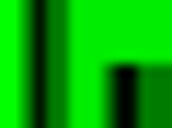 liza pet enjoys her time